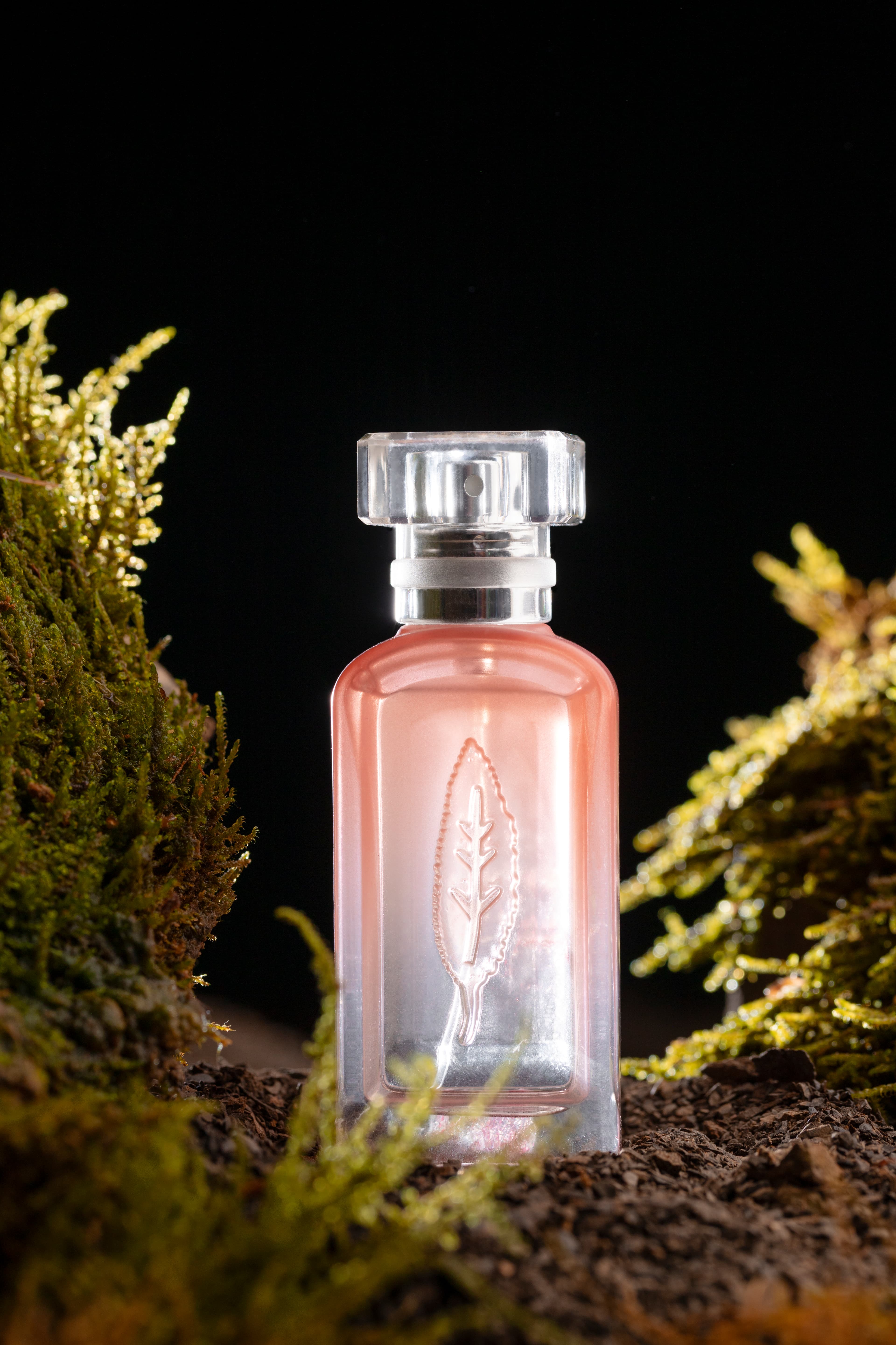 Desert Brew (Khamra Qehwa)